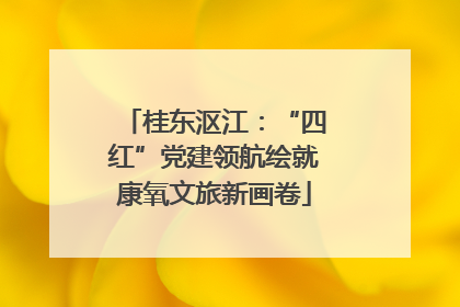 桂东沤江：“四红”党建领航绘就康氧文旅新画卷