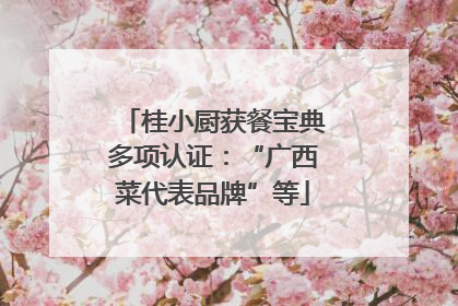 桂小厨获餐宝典多项认证：“广西菜代表品牌”等