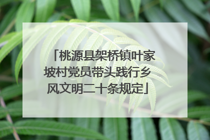 桃源县架桥镇叶家坡村党员带头践行乡风文明二十条规定