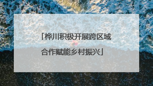 桦川积极开展跨区域合作赋能乡村振兴