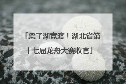 梁子湖竞渡！湖北省第十七届龙舟大赛收官