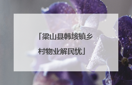 梁山县韩垓镇乡村物业解民忧