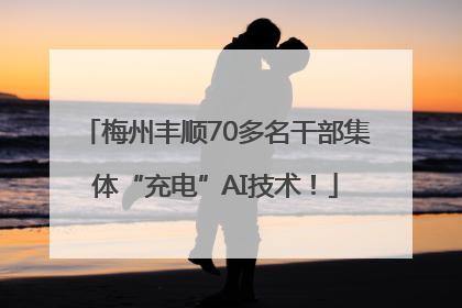 梅州丰顺70多名干部集体“充电”AI技术！