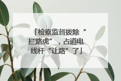 检察监督拔除“拦路虎”，占道电线杆“让路”了