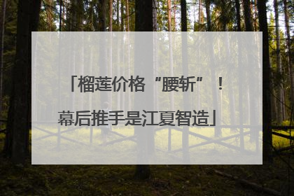 榴莲价格“腰斩”！幕后推手是江夏智造