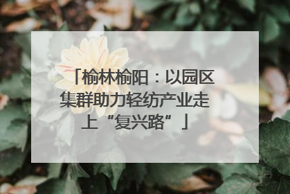 榆林榆阳：以园区集群助力轻纺产业走上“复兴路”