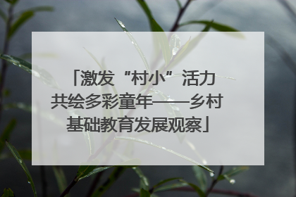 激发“村小”活力 共绘多彩童年——乡村基础教育发展观察