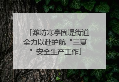 潍坊寒亭固堤街道全力以赴护航“三夏”安全生产工作