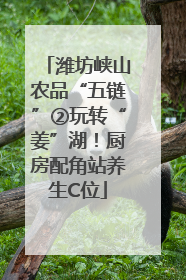 潍坊峡山农品“五链”②玩转“姜”湖！厨房配角站养生C位