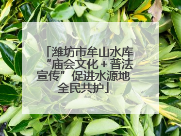 潍坊市牟山水库“庙会文化＋普法宣传”促进水源地全民共护