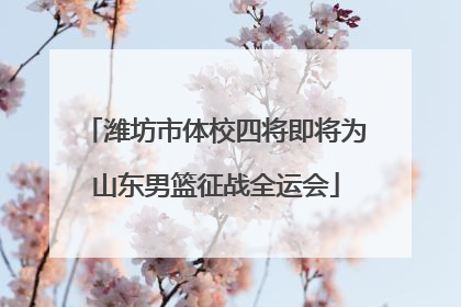 潍坊市体校四将即将为山东男篮征战全运会
