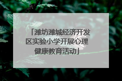 潍坊潍城经济开发区实验小学开展心理健康教育活动