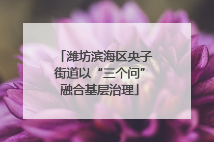 潍坊滨海区央子街道以“三个问”融合基层治理