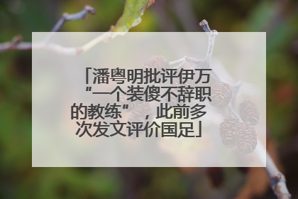 潘粤明批评伊万“一个装傻不辞职的教练”，此前多次发文评价国足
