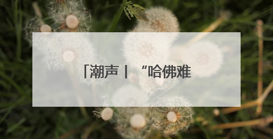 潮声丨“哈佛难民”何去何从？