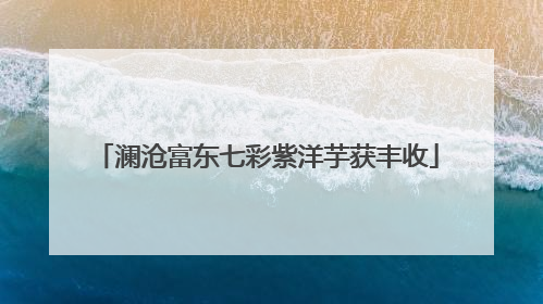 澜沧富东七彩紫洋芋获丰收