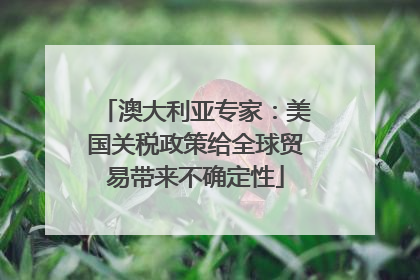 澳大利亚专家：美国关税政策给全球贸易带来不确定性