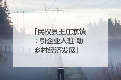 民权县王庄寨镇：引企业入驻 助乡村经济发展