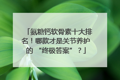 氨糖钙软骨素十大排名！哪款才是关节养护的 “终极答案”？