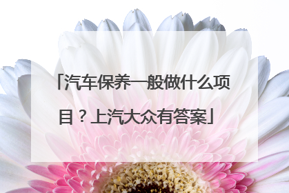 汽车保养一般做什么项目？上汽大众有答案
