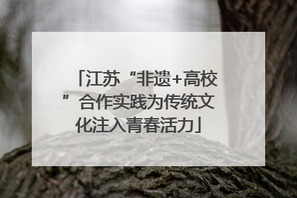江苏“非遗+高校”合作实践为传统文化注入青春活力