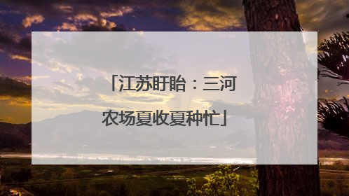 江苏盱眙：三河农场夏收夏种忙