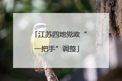 江苏四地党政“一把手”调整