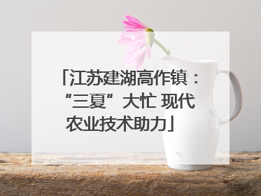 江苏建湖高作镇：“三夏”大忙 现代农业技术助力