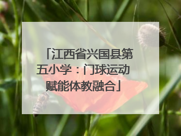 江西省兴国县第五小学：门球运动赋能体教融合