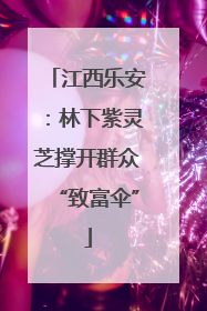 江西乐安：林下紫灵芝撑开群众“致富伞”