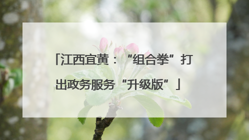 江西宜黄：“组合拳”打出政务服务“升级版”