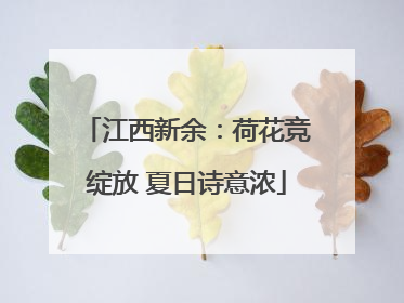江西新余：荷花竞绽放 夏日诗意浓