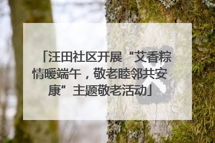 汪田社区开展“艾香粽情暖端午，敬老睦邻共安康”主题敬老活动
