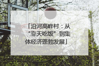 沿河高峰村：从“靠天吃饭”到集体经济蓬勃发展