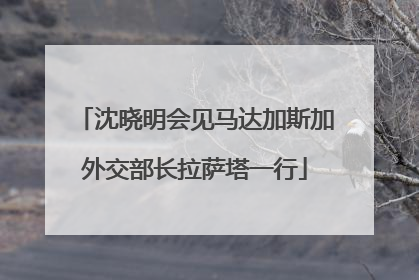 沈晓明会见马达加斯加外交部长拉萨塔一行