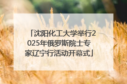 沈阳化工大学举行2025年俄罗斯院士专家辽宁行活动开幕式