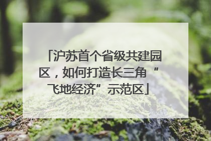 沪苏首个省级共建园区，如何打造长三角“飞地经济”示范区