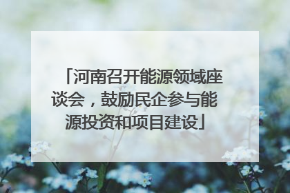 河南召开能源领域座谈会，鼓励民企参与能源投资和项目建设
