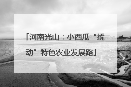河南光山：小西瓜“撬动”特色农业发展路