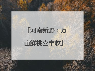 河南新野：万亩鲜桃喜丰收