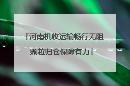 河南机收运输畅行无阻 颗粒归仓保障有力