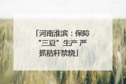 河南淮滨：保障“三夏”生产 严抓秸秆禁烧