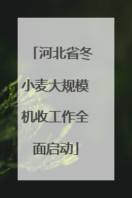 河北省冬小麦大规模机收工作全面启动