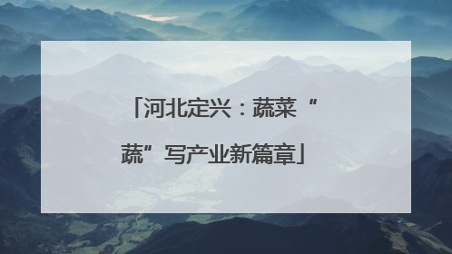 河北定兴：蔬菜“蔬”写产业新篇章