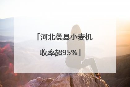 河北蠡县小麦机收率超95%