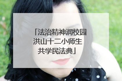 法治精神润校园 洪山十二小师生共学民法典