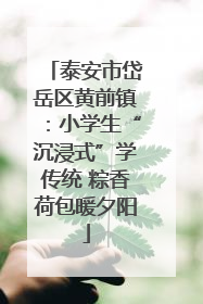 泰安市岱岳区黄前镇：小学生“沉浸式”学传统 粽香荷包暖夕阳