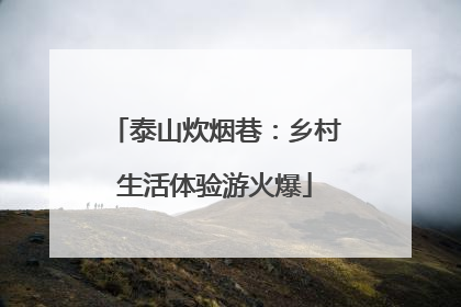 泰山炊烟巷：乡村生活体验游火爆