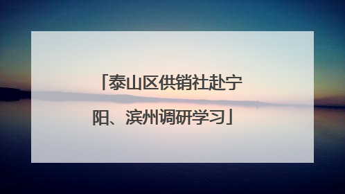泰山区供销社赴宁阳、滨州调研学习
