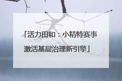 活力田和：小精特赛事激活基层治理新引擎